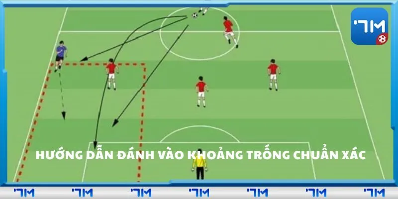 Hướng dẫn chuẩn xác cho tân thủ