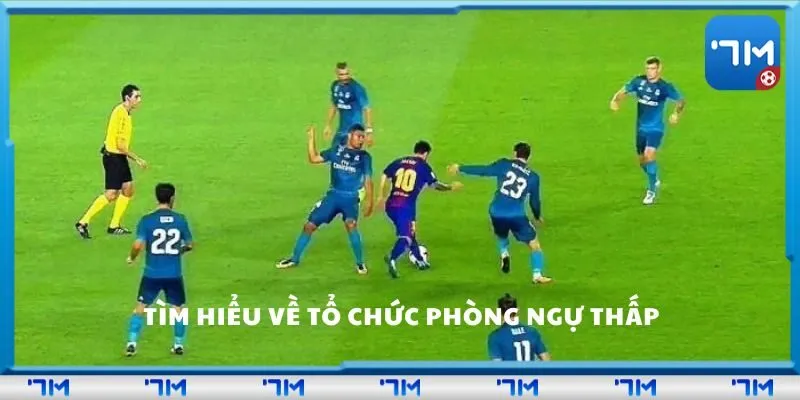 Tìm hiểu về tổ chức phòng ngự thấp