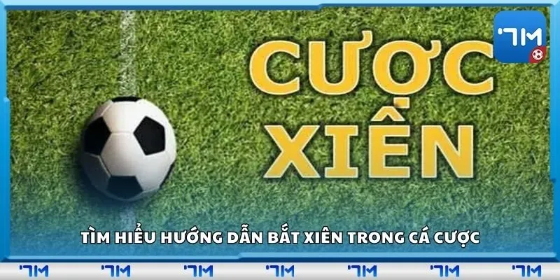 Tìm hiểu hướng dẫn bắt xiên trong cá cược